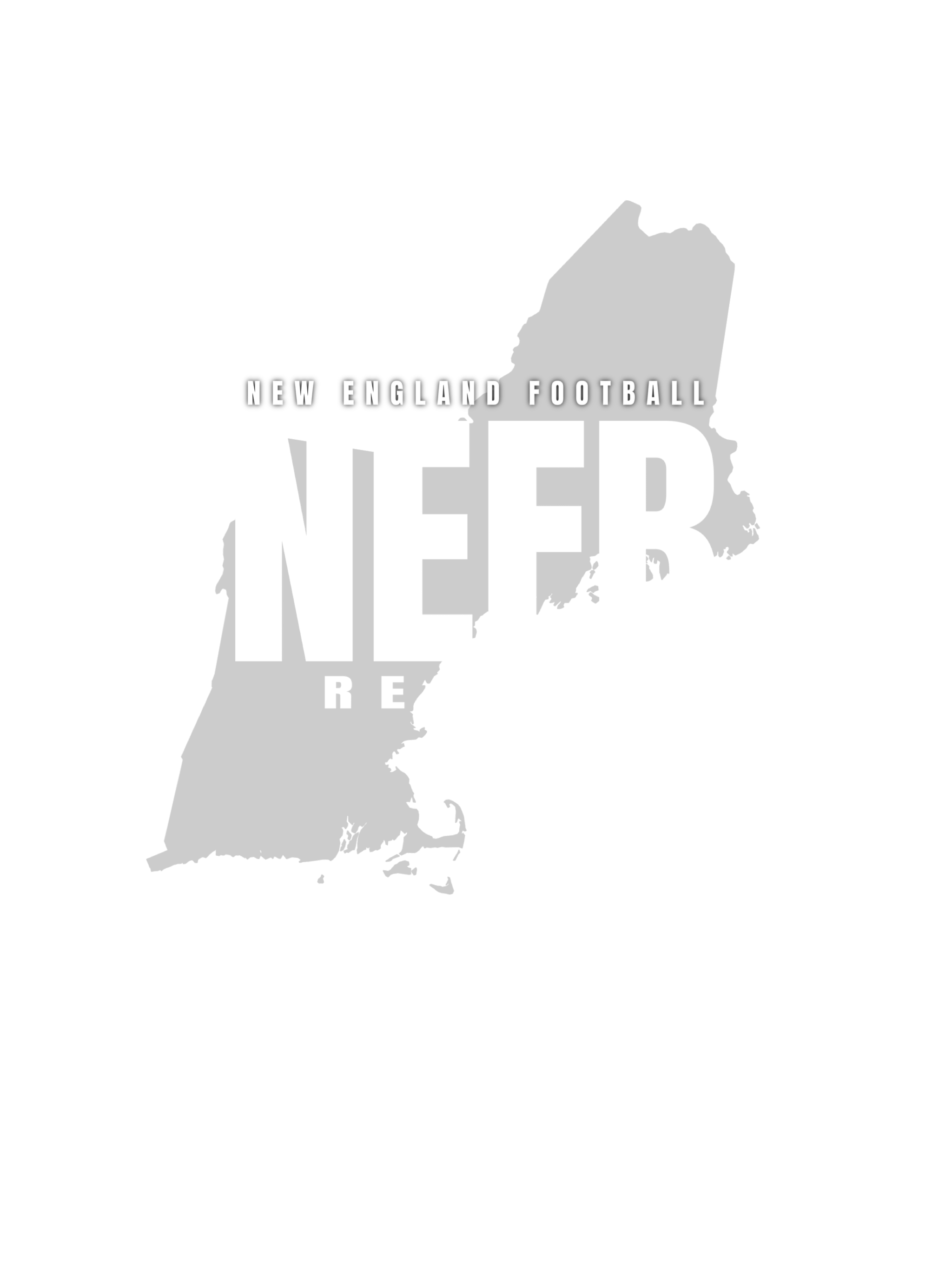 NEFB Report